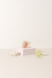 Butterfly Hair Claw
