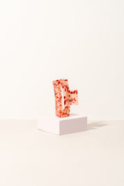 The Exclusive PW Collection - Medium