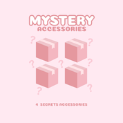 Mystery Box - 4 accessories