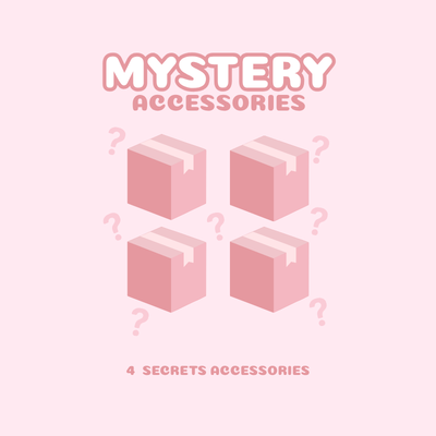 Mystery Box - 4 accessories