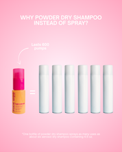 Hair Refresh - Dry Shampoo