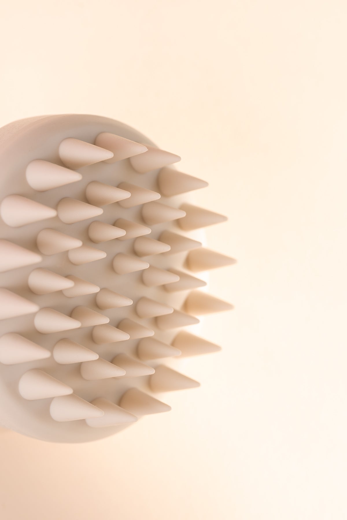 Scalp hair exfoliator
